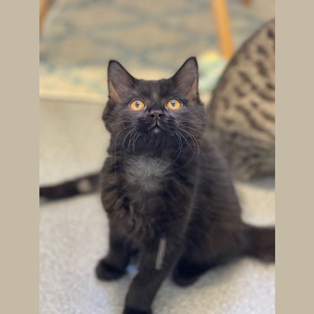 Photo of Lisa