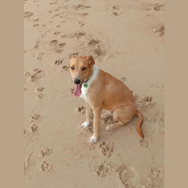 Photo of Sophie