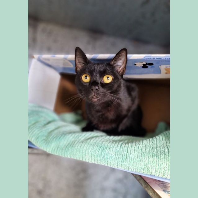 Photo of Lunar