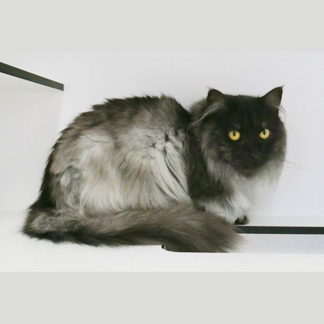 Photo of Ollie Rsua004595