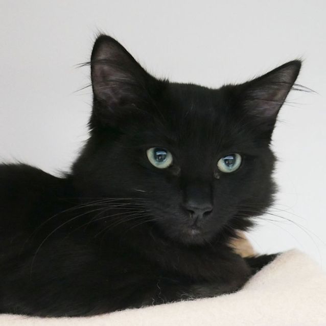 Photo of Bozzy Suk009884