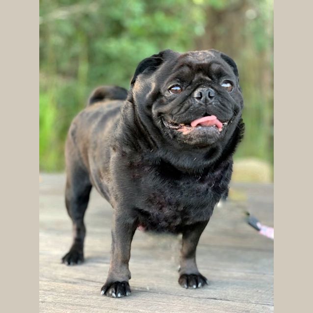 Photo of Ling Ling & Baby