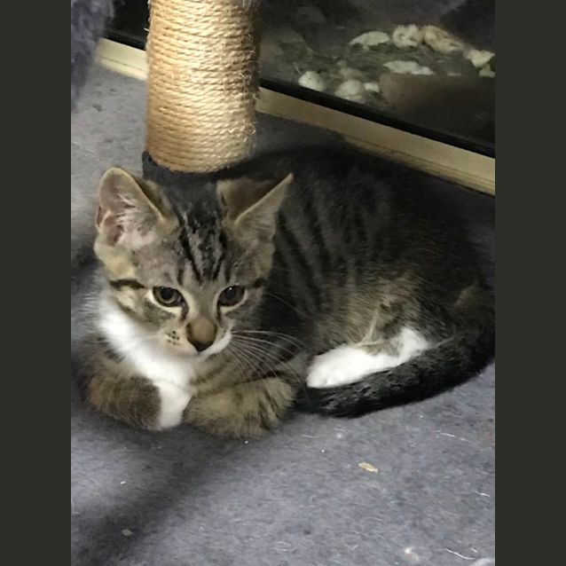 Photo of Gorgeous River