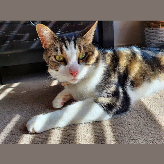 Photo of Felix Rossiter