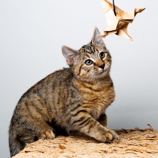Photo of Sally