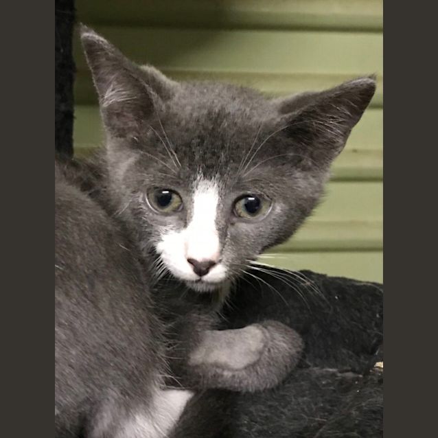 Photo of Stunning Storm