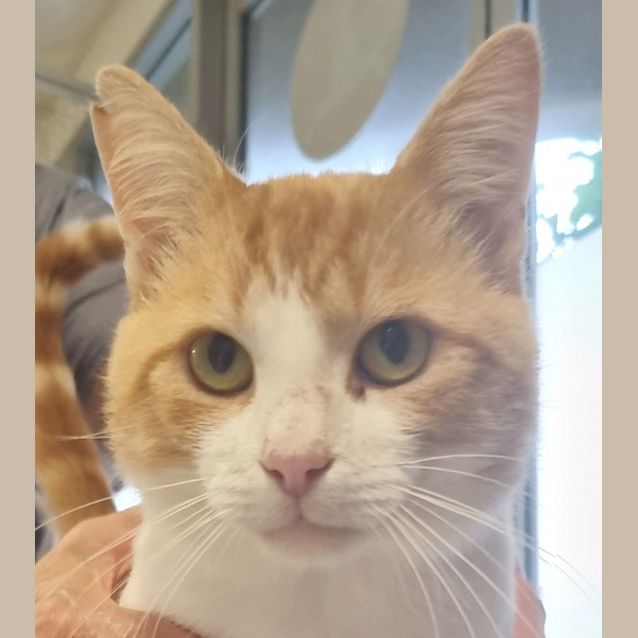 Photo of Tommy & Mia