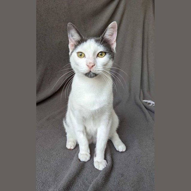 Photo of Sammy & Cypher