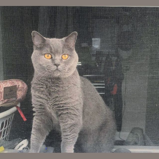 Photo of 💙Tilly💙