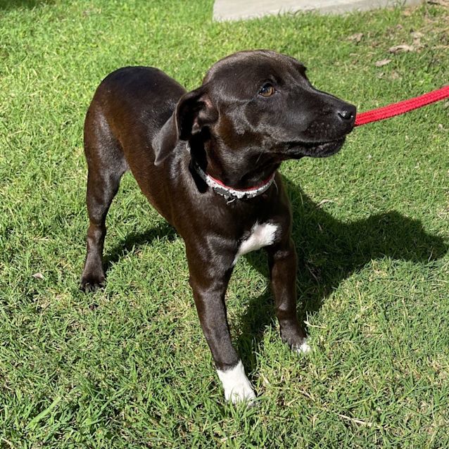 Photo of Sasha