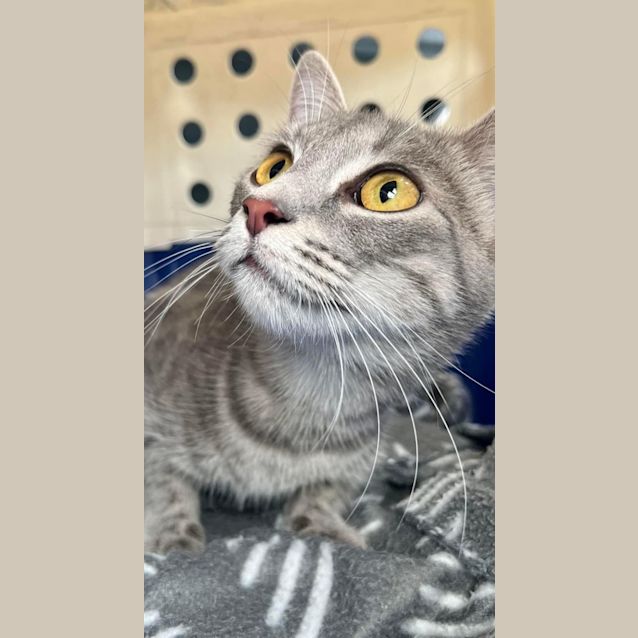 Photo of Captain Marvel