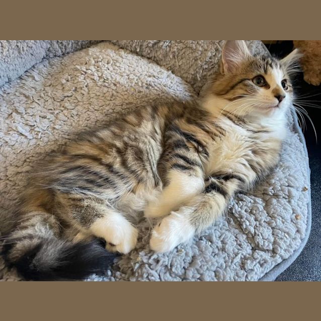 Photo of Willow ❣