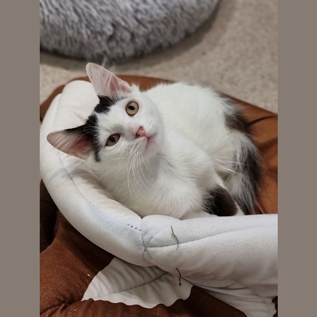 Photo of Miss Tilts