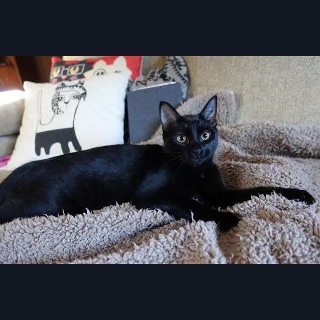 Photo of Micah