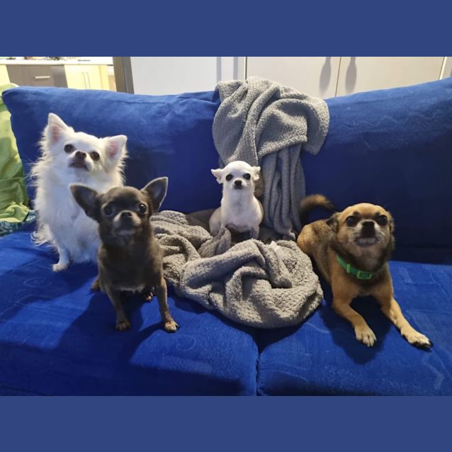 Photo of Sylvie & Maxy