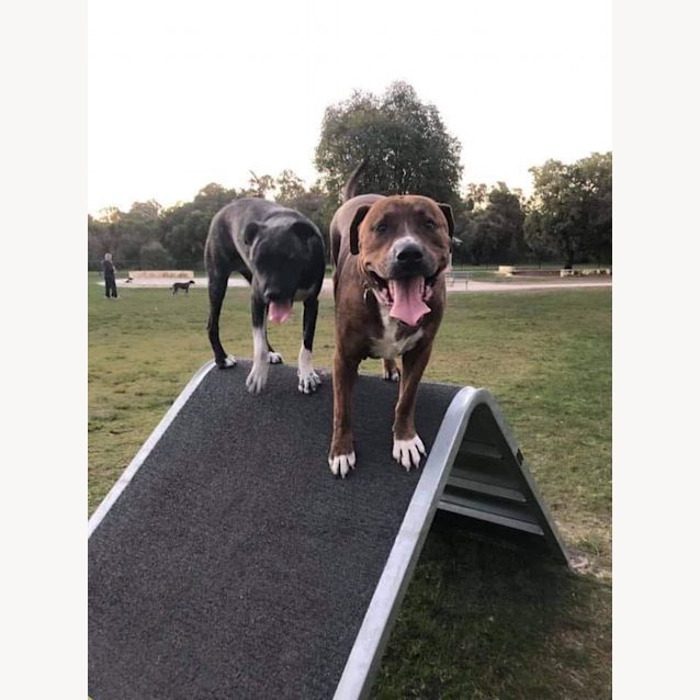 Photo of Db And Daisy 