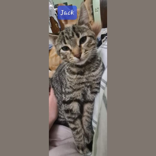 Photo of Jack