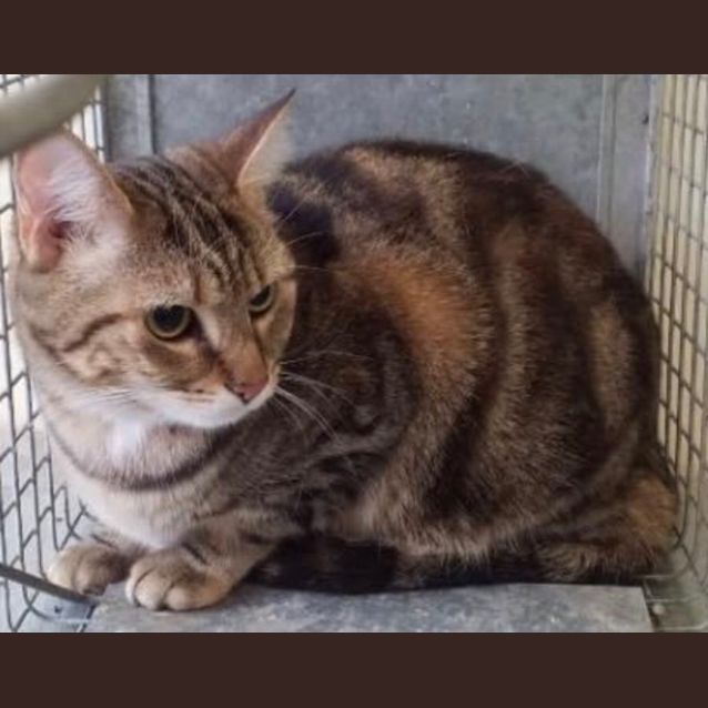 Photo of Marvellous Miss Molly May