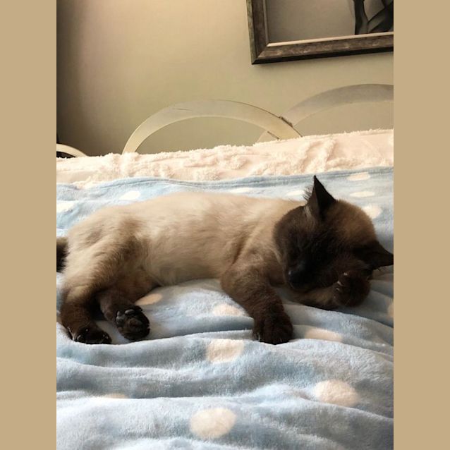 Photo of Simon 