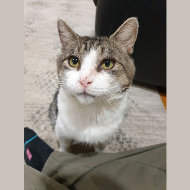 Photo of Spencer
