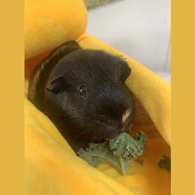 Photo of Charlie