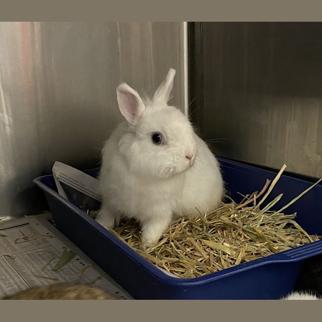 Photo of Sugar