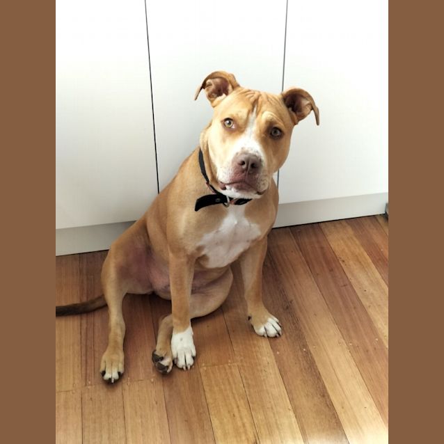 Photo of Mocha
