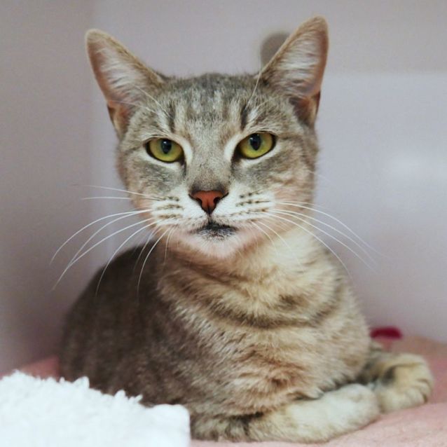 Photo of Daisy Sua009927