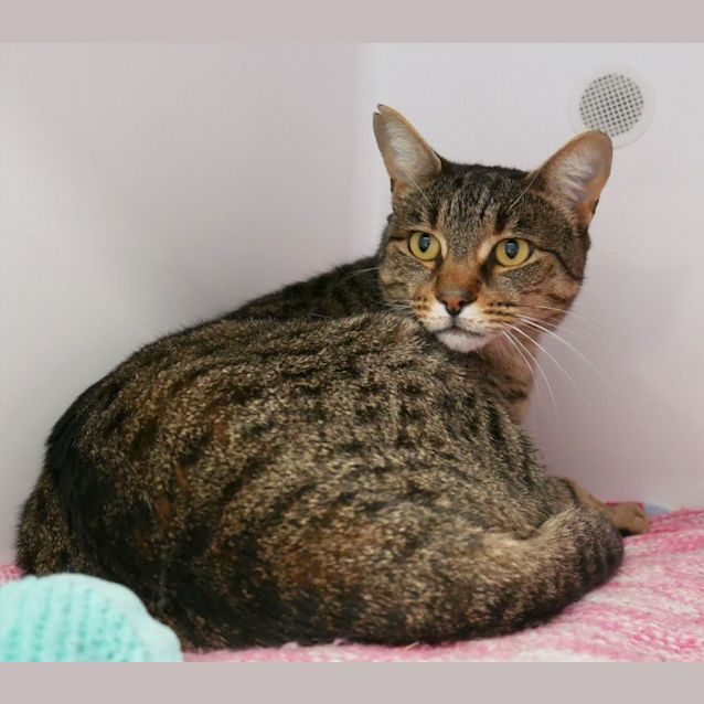 Photo of Jasper Sua009928