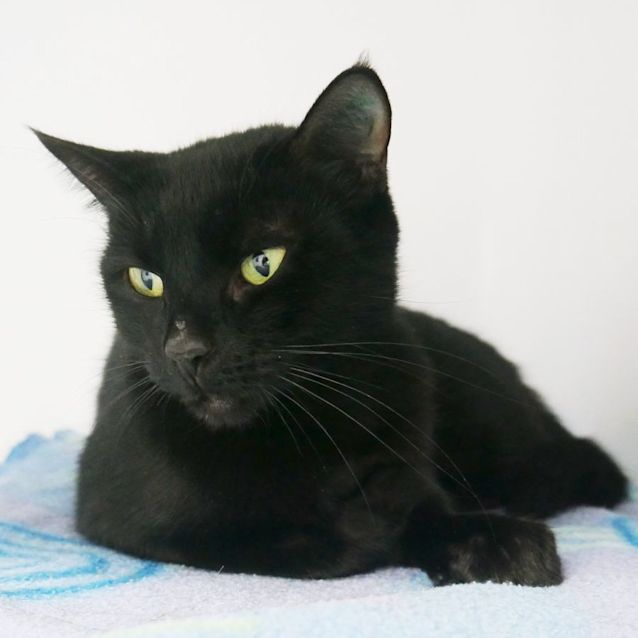 Photo of Elsie Sta009819