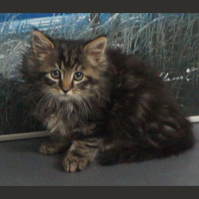 Photo of Floyd