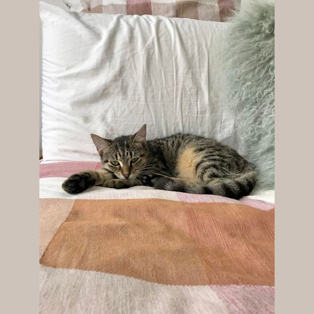 Photo of Willow 💖