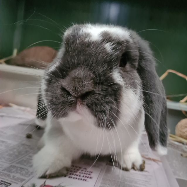 Photo of Matilda