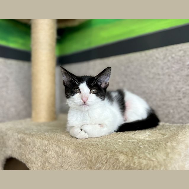 Photo of Beverly