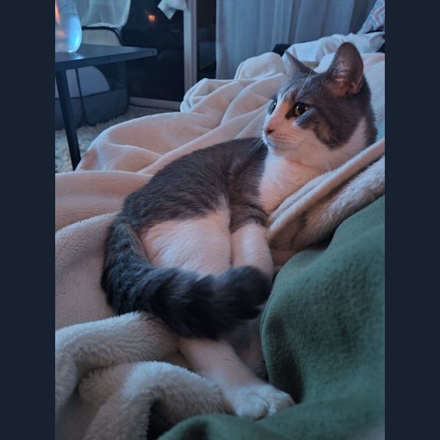 Photo of Sheldon
