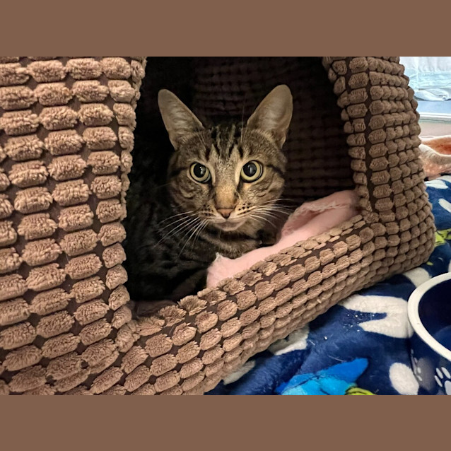 Photo of Clyde