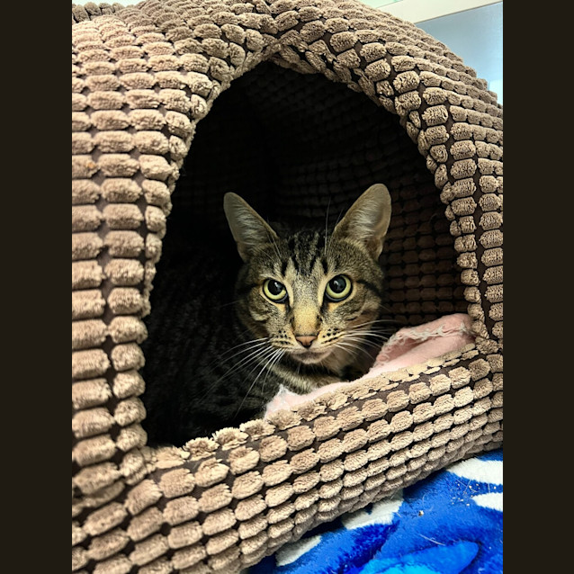 Photo of Clyde