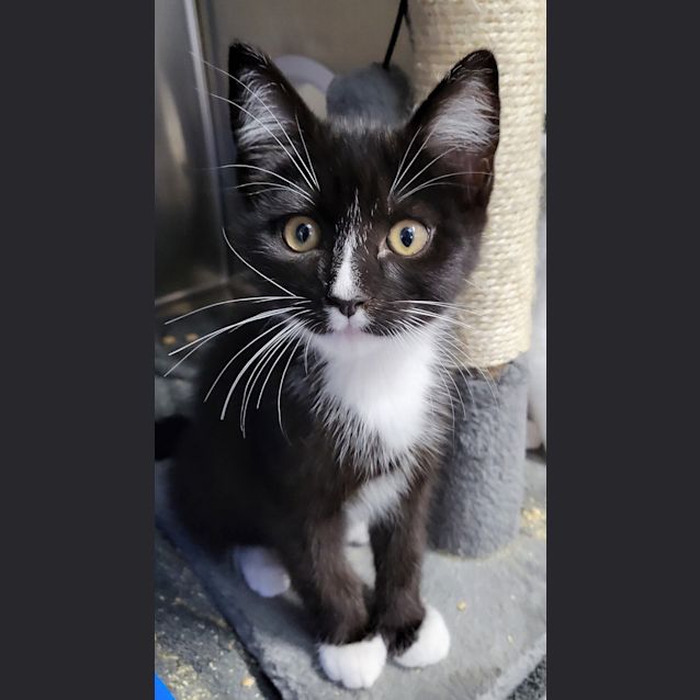 Photo of Barty