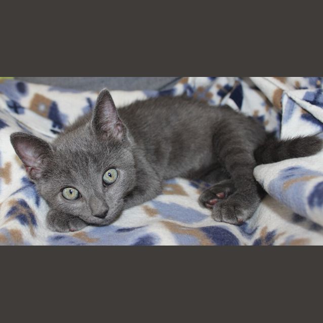 Photo of Ferdie