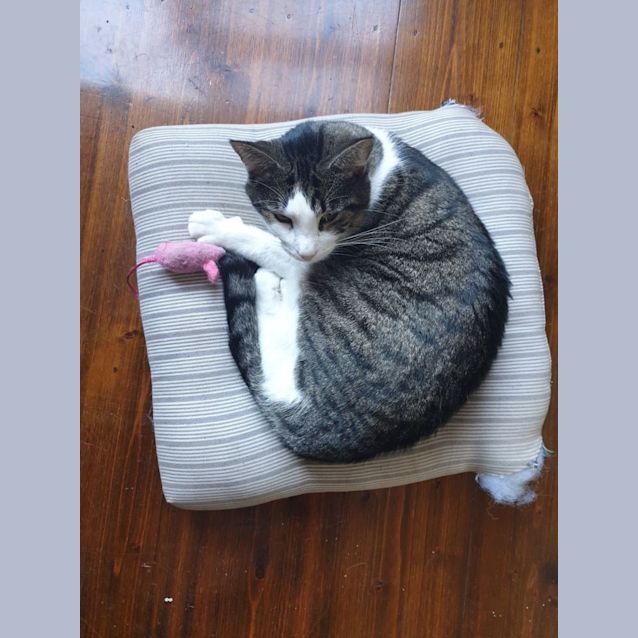 Photo of Zoe   Located In Coburg