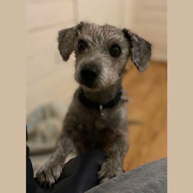 Photo of Harry And Lucy