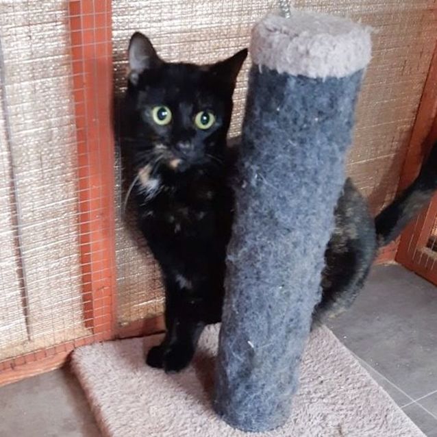 Photo of Molly