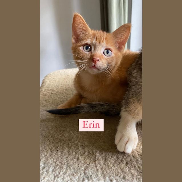 Photo of Erin