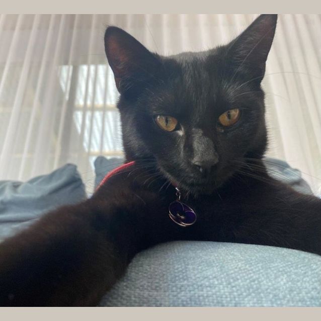 Photo of Sinders Yeager