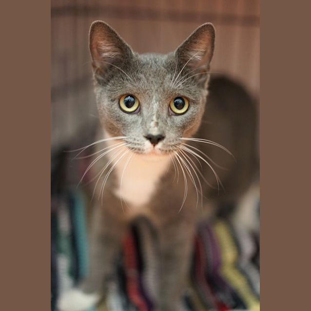 Photo of Nala