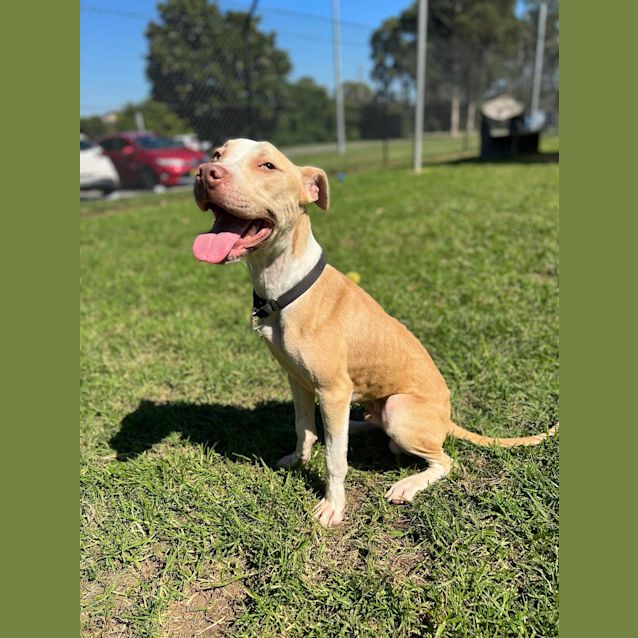 Photo of Drax