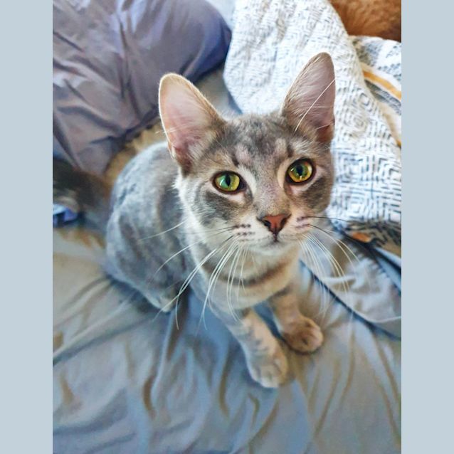 Photo of Fern