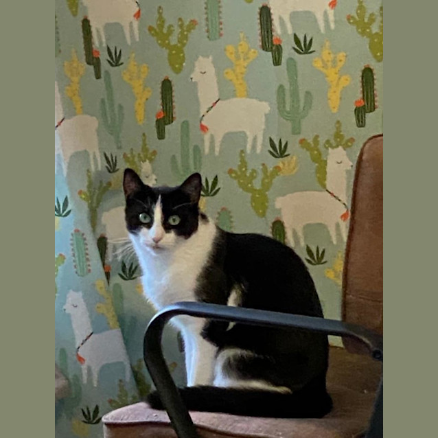Photo of Geraldine 