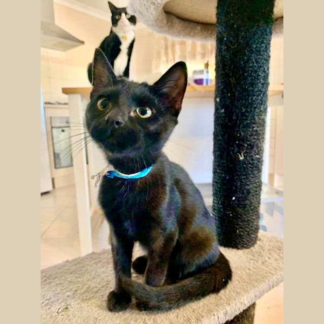 Photo of Nitro, Marlin & Floyd