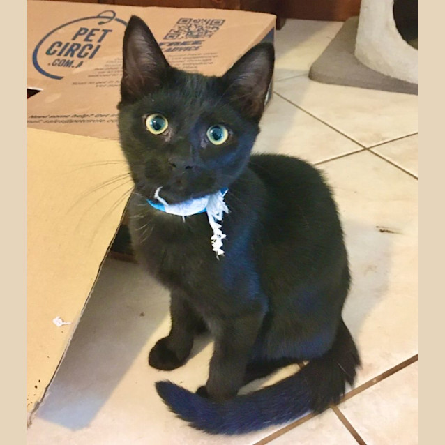 Photo of Nitro, Marlin & Floyd